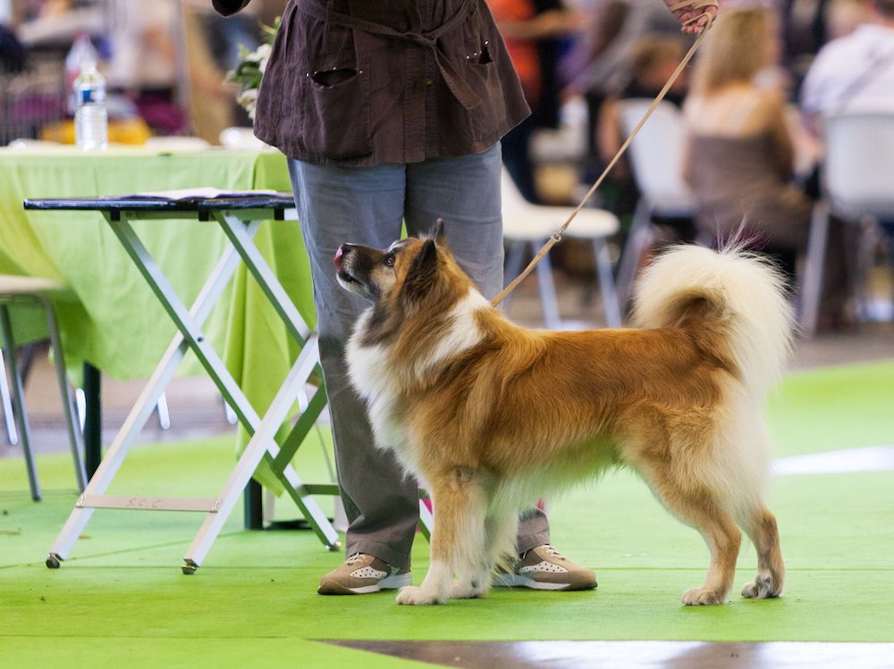 Question of the Week